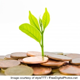 Blogging Income