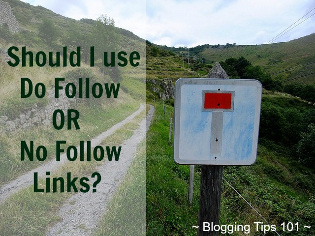 Do Follow or No Follow Links