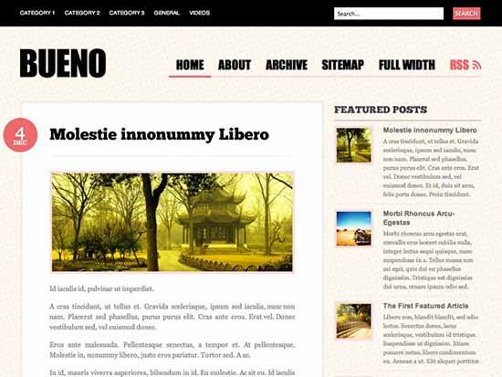 WordPress Theme Bueno